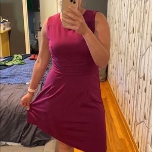 41 Hawthorn Dress in L stitch fix